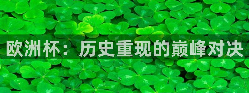 看世界杯:欧洲杯:历史重现的巅峰对决