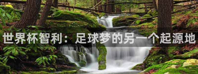 2026年世界杯赛程:世界杯智利:足球梦的另一个起源地