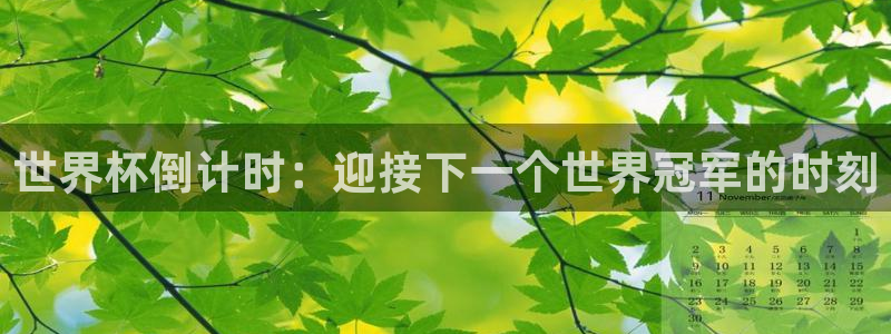 足球世界杯预选赛:世界杯倒计时:迎接下一个世界冠军的时刻