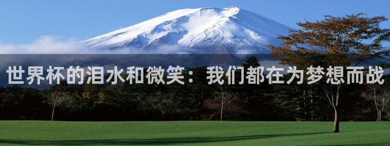 2026世界杯直播:世界杯的泪水和微笑:我们都在为梦想而战