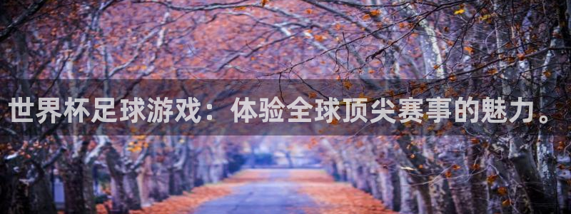 世界杯2026赛程表:世界杯足球游戏:体验全球顶尖赛事的魅力。