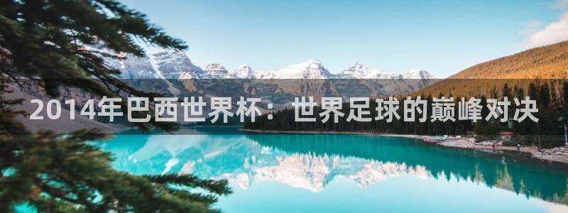 世界杯足球直播:2014年巴西世界杯:世界足球的巅峰对决